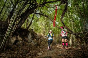 BIB: 
                            <button type="button" onclick="openModal(22178509)" class="btn btn-primary btn-sm float-right btn-popup" data-toggle="modal" data-target=".modal-high-quality">
                        <i class="fas fa-shopping-cart"></i> Add to Cart
                    </button>
                                            <button type="button" onclick="isThisMe(22178509, true)" class="btn btn-success btn-sm float-right btn-popup btn-isme hidden" data-toggle="tooltip" data-placement="bottom" title="นี่คือรูปของคุณใช่ไหม คลิกที่นี่เพื่อเอาเข้าอัลบั้ม">
                        <i class="fas fa-plus"></i> Add to album
                    </button>
                    <button type="button" onclick="isThisMe(22178509, false)" class="btn btn-warning btn-sm float-right btn-popup btn-isnotme hidden">
                        <i class="fas fa-ban"></i> Remove from album
                    </button>